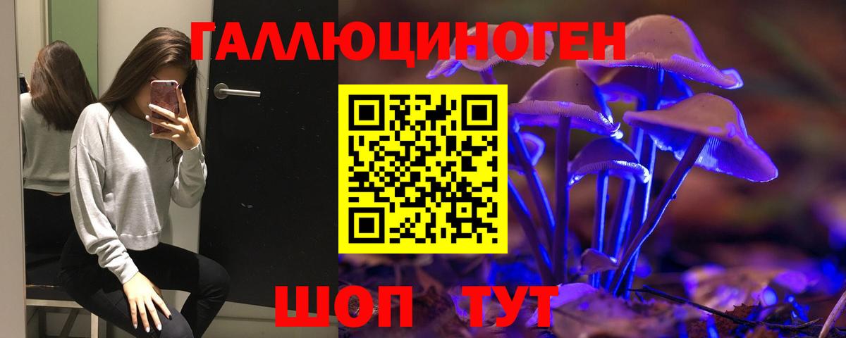 Дедовск  Псилоцибиновые грибы GOLDEN TEACHER  Вход с VPN 